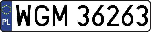 WGM36263