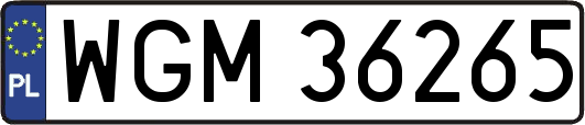WGM36265