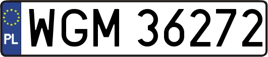 WGM36272