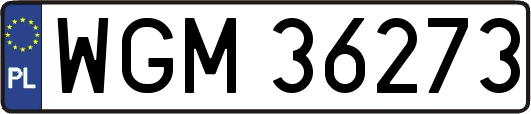 WGM36273