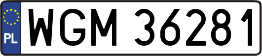 WGM36281