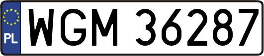 WGM36287