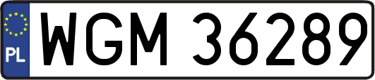 WGM36289