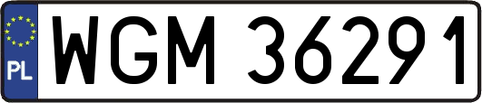 WGM36291