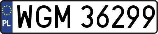 WGM36299