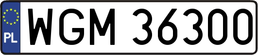 WGM36300