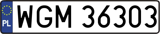 WGM36303