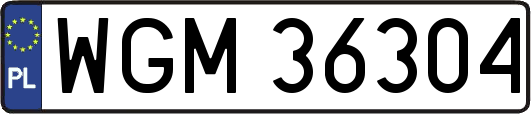 WGM36304