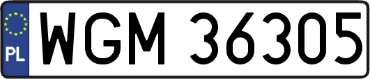 WGM36305