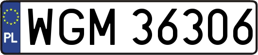 WGM36306