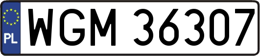 WGM36307