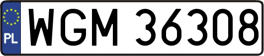 WGM36308
