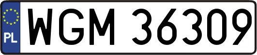 WGM36309