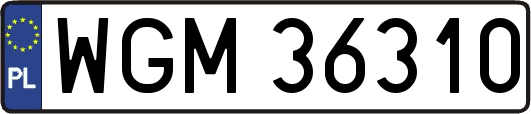 WGM36310