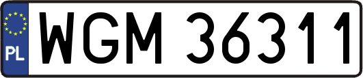 WGM36311