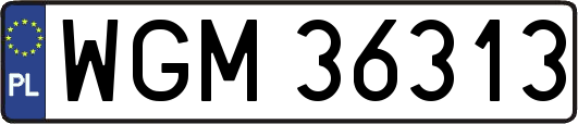 WGM36313
