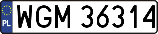 WGM36314
