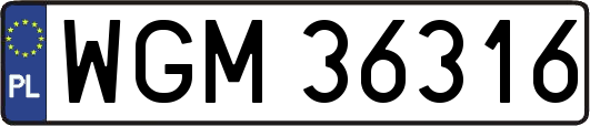 WGM36316