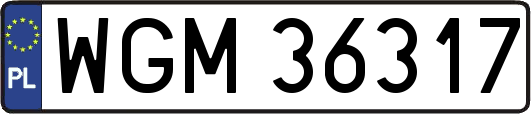 WGM36317