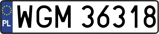 WGM36318