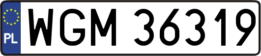 WGM36319