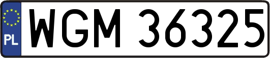 WGM36325