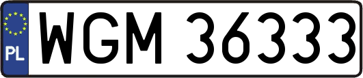 WGM36333
