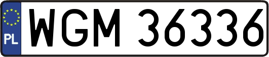 WGM36336