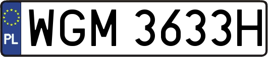 WGM3633H