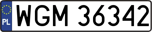 WGM36342