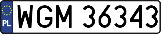 WGM36343