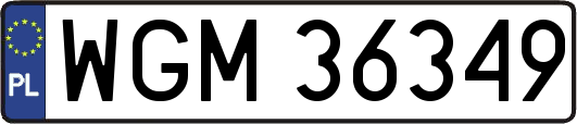 WGM36349