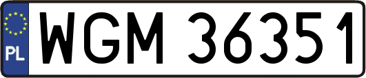 WGM36351
