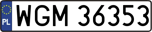 WGM36353