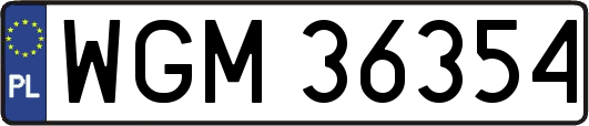WGM36354