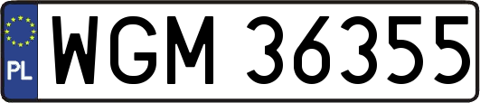 WGM36355