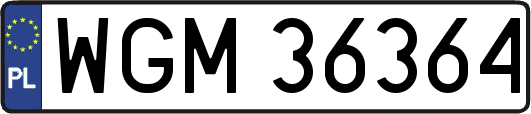 WGM36364