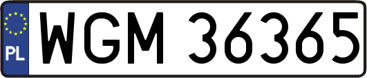 WGM36365