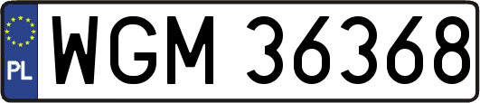 WGM36368