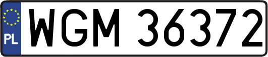 WGM36372