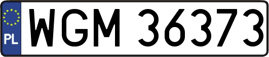 WGM36373