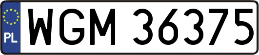 WGM36375