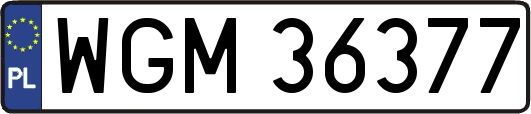 WGM36377