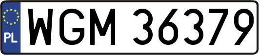 WGM36379