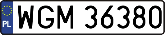 WGM36380