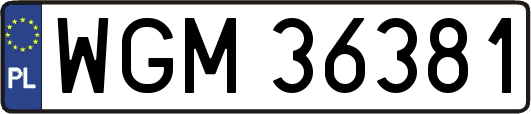 WGM36381