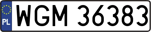 WGM36383
