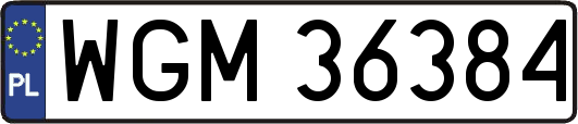 WGM36384
