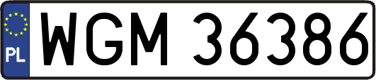 WGM36386
