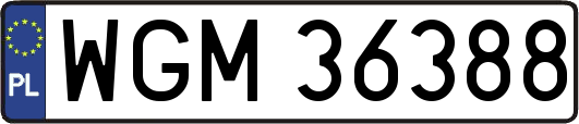 WGM36388